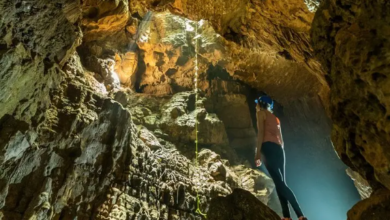 Cavernas de Venado