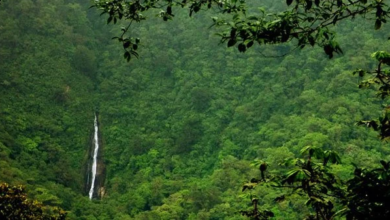Parque Nacional del Agua Costa Rica